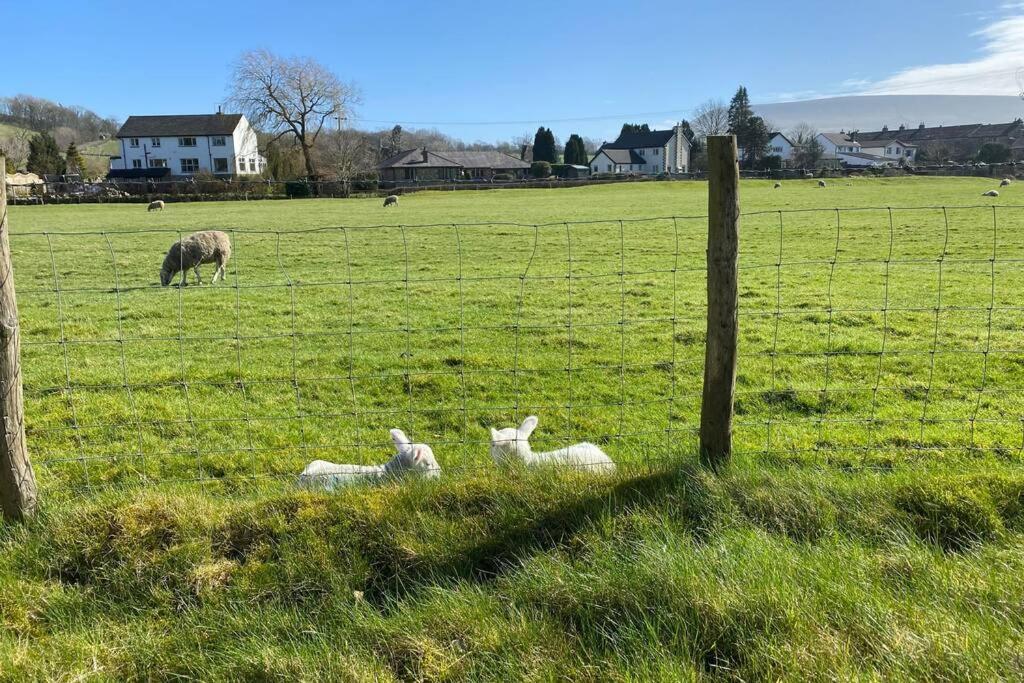 Sawley In The Forest Of Bowland - Cosy Cottage. Clitheroe Εξωτερικό φωτογραφία